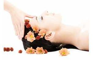 黛詩(shī)菲爾 以專業(yè)匠心，開啟您的美麗財(cái)富與健康生活新篇章